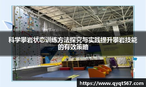 3377体育官网