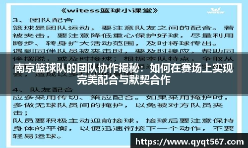 南京篮球队的团队协作揭秘：如何在赛场上实现完美配合与默契合作