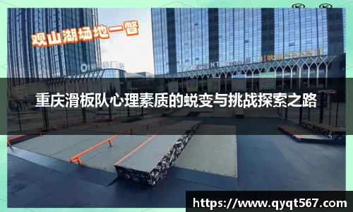 3377体育