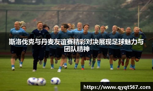 斯洛伐克与丹麦友谊赛精彩对决展现足球魅力与团队精神